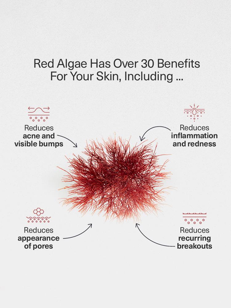 Red Algae Recovery &amp; Repair Gel