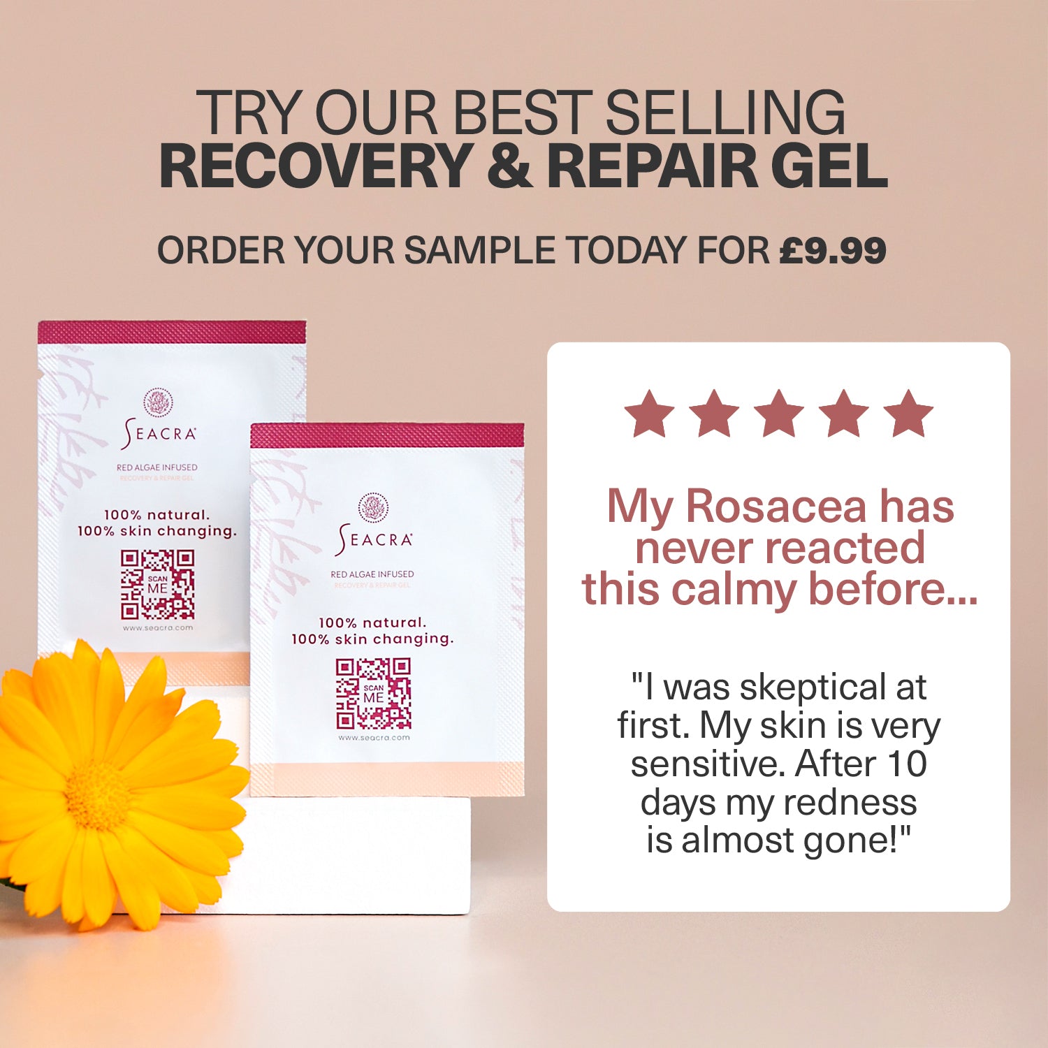 Red Algae Recovery & Repair Gel Sample