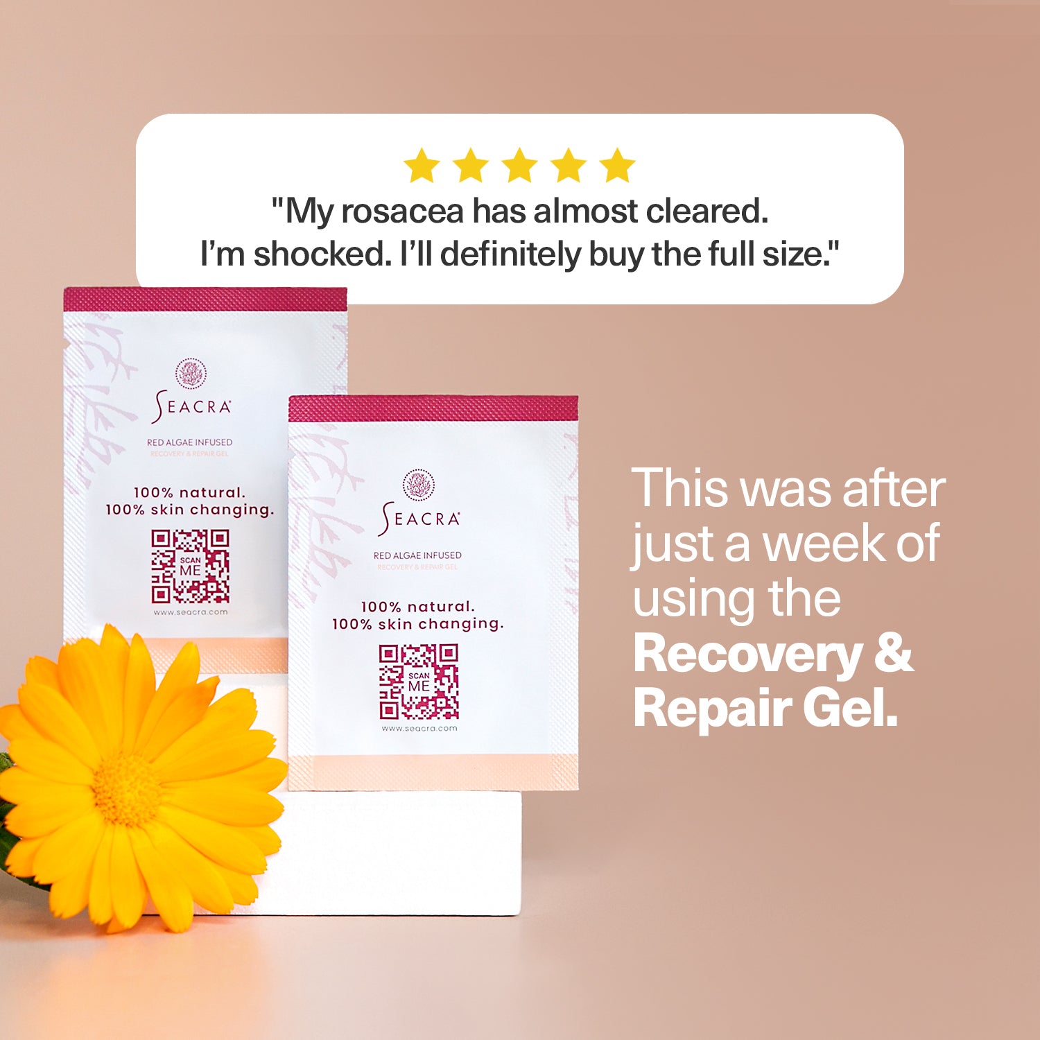 Red Algae Recovery & Repair Gel Sample