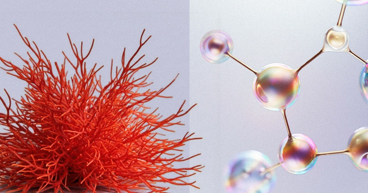 Red Algae vs Harsh Actives: Why Sensitive Skin Needs Barrier Repair, Not Treatments