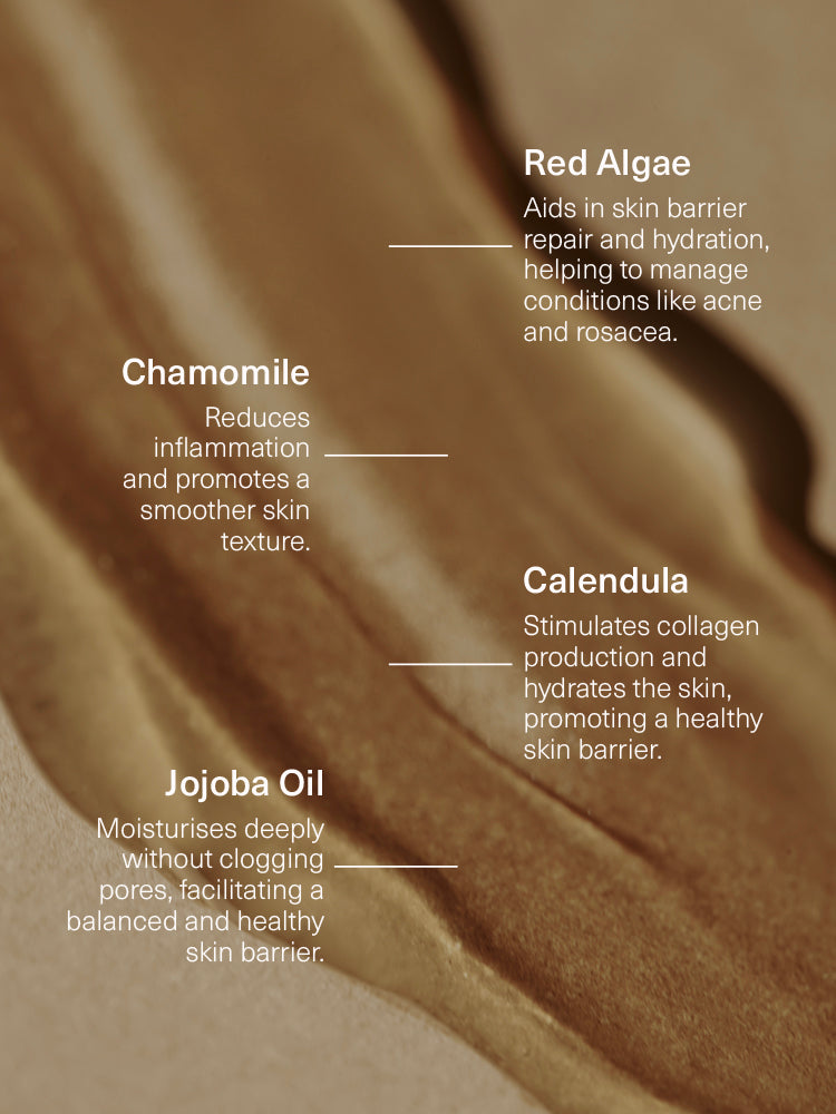 Red-Algae-Gel-Ingredients